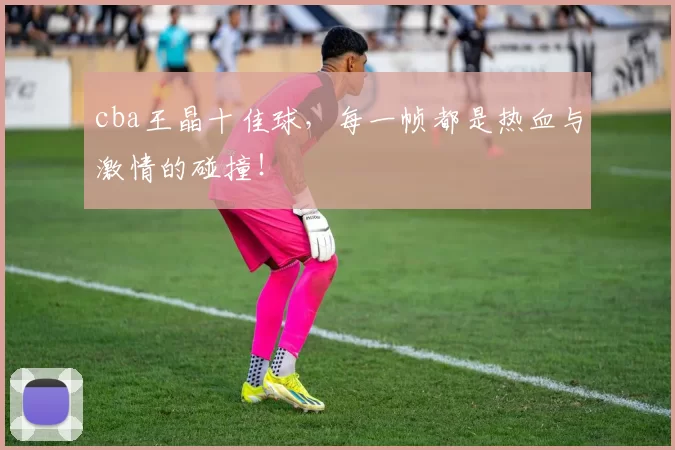 cba王晶十佳球，每一帧都是热血与激情的碰撞！