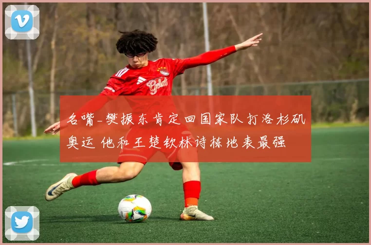 名嘴_樊振东肯定回国家队打洛杉矶奥运 他和王楚钦林诗栋地表最强