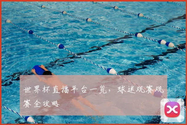 世界杯直播平台一览，球迷观赛观赛全攻略