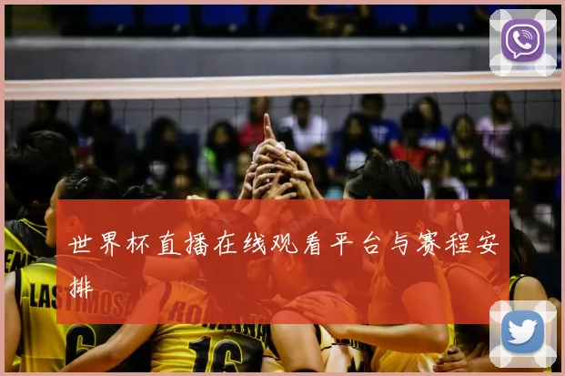 世界杯直播在线观看平台与赛程安排