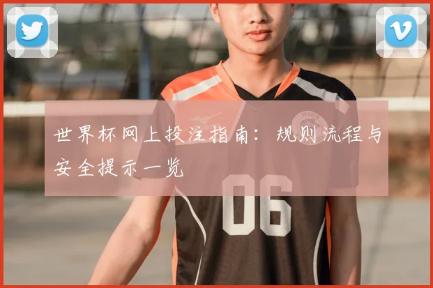 世界杯网上投注指南:规则流程与安全提示一览