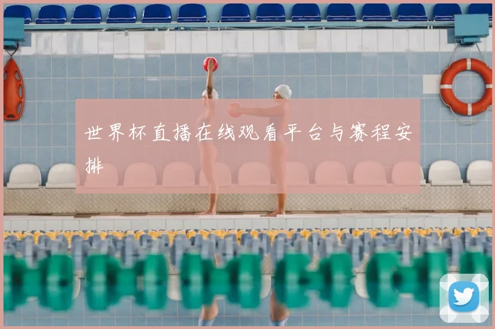 世界杯直播在线观看平台与赛程安排